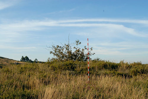 Xacemento das Cavadiñas