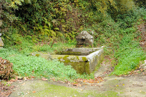 Fonte do Regueiro