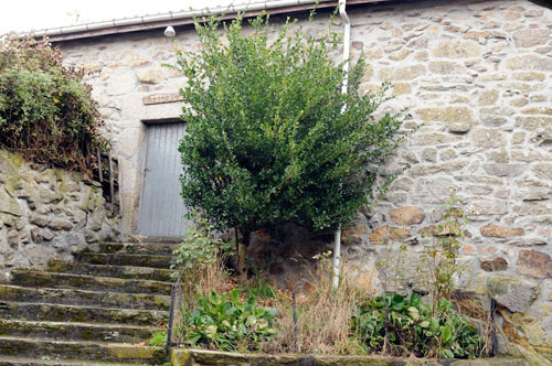 Forno comunal