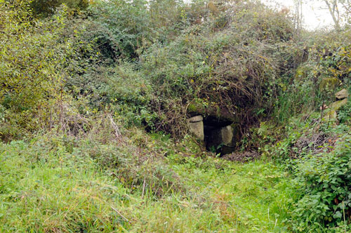 Fonte do Agrelo