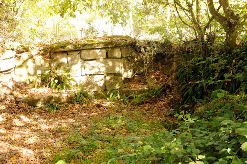 Fonte Galega