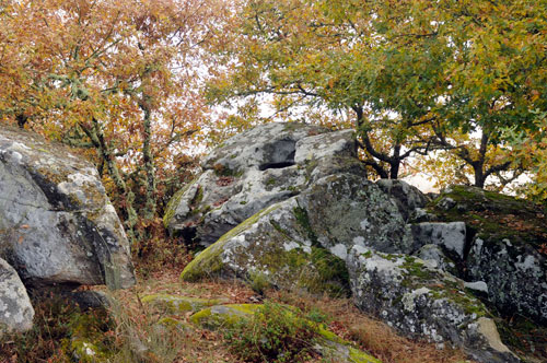Pedra do Arangaño