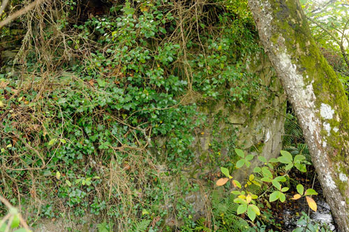 Muíño do Farruco