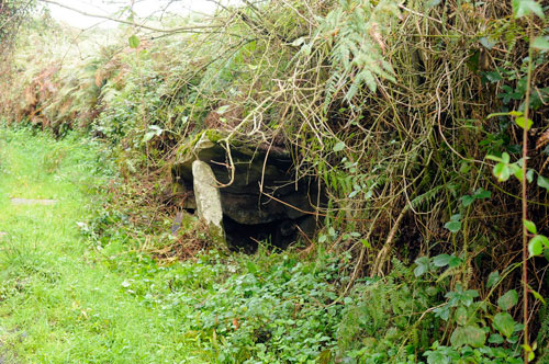 Fonte da Moreira
