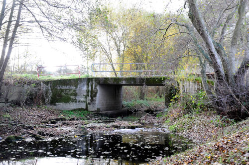 Ponte