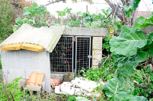 Fonte da Barriada