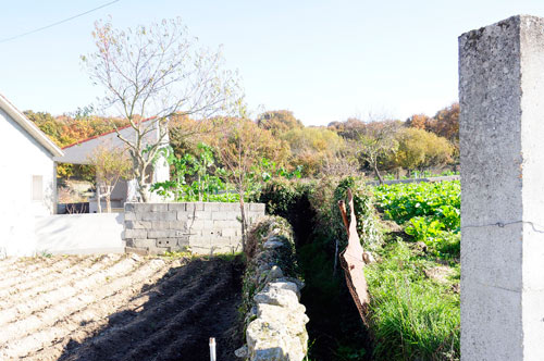 Fonte da Cal